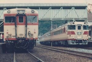 鉄道写真 特急 南紀 キハ82系気動車 & 急行 キハ58系気動車 KG判（102mm×152mm）