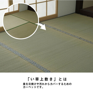 カーペット い草 上敷き カーペット 江戸間8畳(約352×352cm) 制菌 抗菌防臭 消臭 小林製薬KOBA-GUARD コバガード上敷