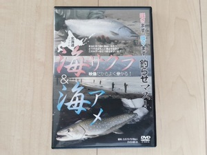 DVD 北海道ショアの海サクラ&海アメ　フィッシング　釣り