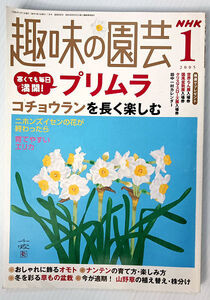  NHK趣味の園芸／2005年1月号　プリムラ　コチョウランを長く楽しむ　育てやすいエリカ　オモト　ナンテンいろいろ