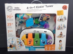 4-in-1 Kickin’ Tunes 　4 in 1 キッチンチューンズ・ジム