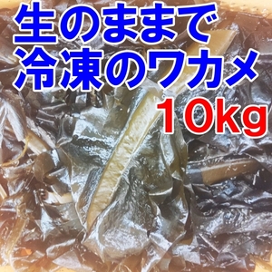 【生のまま冷凍】のワカメ！１０ｋｇ（1ｋｇ入真空パック袋×10個）わかめ 味噌汁に サラダに 塩蔵は嫌いな方におススメです。松島牡蠣屋