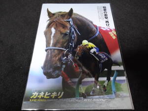 JRA ヒーロー列伝No.68 カネヒキリ クリアファイル 新品未開封 2015年来場ポイント