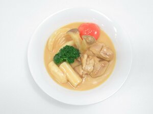 ★【直接引取不可】 食品サンプル ディスプレイ ハヤシ トマトカレー チキンカレー シチュー カレー 一品 おかず 見本品 料理模型 飲食店