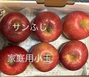 サンふじ 葉とらずりんご　家庭用小玉6玉　信州飯綱産