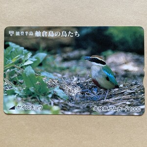 【使用済】 野鳥ふみカード 北陸版 能登半島 舳倉島の鳥たち ヤイロチョウ