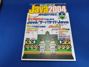 【美品】 技術評論社 キャリアアップ Java2004 勝利の方程式