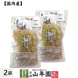 沢田の味 らっきょうりんご 甘酢漬 100g×2袋セット 国産原料使用