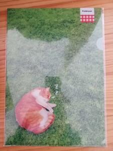 ふてニャン　お昼寝　A4　クリアファイル 非売品　レア　ノベルティ　景品　猫　猫好き　