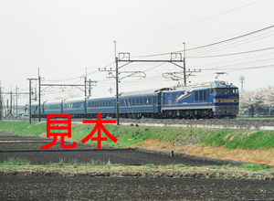 鉄道写真、645ネガデータ、159229590001、EF510-501＋24系（乗務員訓練運転）、JR東北本線、東大宮〜蓮田、2010.04.06、（3937×2883）