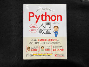 いちばんやさしいPython入門教室 大澤文孝