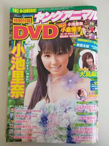 ヤングアニマル 2009年8.14　No.15 小池里奈 小倉優子 大島麻衣 西田麻衣 ローラ・チャン 松井絵里奈 西田麻衣 DVD【即決】