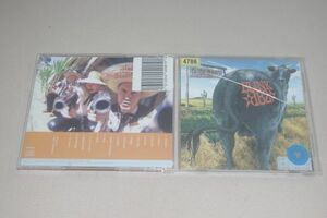 〇洋　Blink-182　Dude Ranch（レンタル版）　CD盤