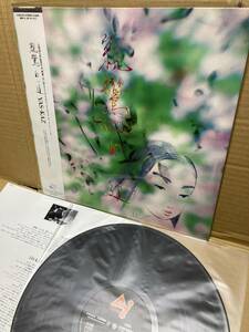 PROMO帯付LP！Yas-Kaz / Shinran Path To Purity 親鸞 白い道 Canyon C28Y0251 見本盤 AMBIENT NEW AGE EXPERIMENTAL EITETSU HAYASHI OBI