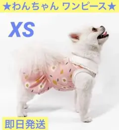 犬服 ワンピース 花柄 ピンク 小型犬 コットン 女の子 XS