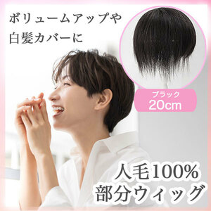 ★送料無料★29HO / 人毛100％ 部分ウィッグ ヘアピース 軽量 蒸れにくい 装着簡単 白髪隠し 20cm（ブラック）