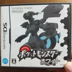 ポケットモンスター ホワイト (ニンテンドーDS)