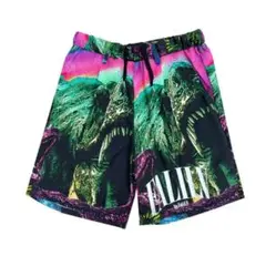 FALILV by FaLiLV 2022 GRAPHIC SHORTPANTS