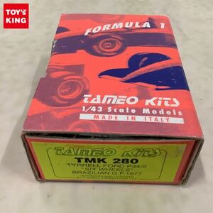 1円〜 Tameo Kits 1/43 TYRRELL FORD P34/2 SIX WHEELS Brasile GP 1977 メタルキット