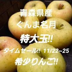 ★期間限定★青森県産 ぐんま名月 希少 りんご 特大玉 家庭用 6~8玉 ③