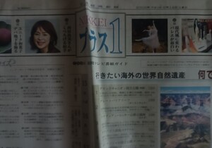 新聞紙 日本経済新聞プラス1 2002年9月14日 古紙 1部