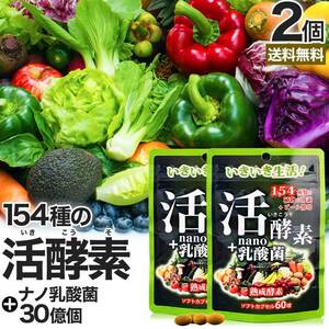 酵素 ナノ 乳酸菌 乳酸菌サプリ 食物繊維 菌活 腸活 サプリ 60球*2個セット 約40～60日分 送料無料 メール便