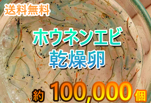 【送料無料】　ホウネンエビ　休眠卵　100,000匹相当 耐久卵　メダカ　餌　ミジンコ　稚魚　上陸　ヤモリ　サンショウウオ