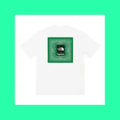 Supreme North Face Trekking Bandana Tee3