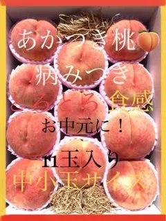 祝！初出品！激甘っ。。１０年の実績あり！　桃の女王　「木成り熟成・あかつき桃」