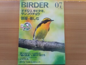 即決 バーダー保存版 夏のヒタキ科 オオルリ・キビタキ・サンコウチョウグ + マツダユカ 特別 描き下ろし 野鳥たち・ バードウォッチング