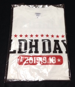 LDH DAY 918 FESTIVAL Tee サイズM EXILE 三代目JSB トラステ Tシャツ EXILE TRIBE STATION