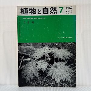 植物と自然 1967年7月号★ハリブキ/シダ類の造精器/食虫植物の栽培/沖縄の植物/光を求めて/白馬岳の高山植物/ニュー・サイエンス社