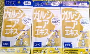 ＤＨＣ ガルシニアエキス ２０日分　3個　新品