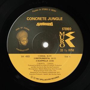 Muro Concrete Jungle レコード