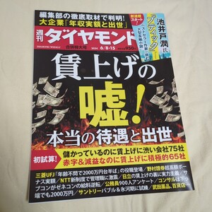 週刊ダイヤモンド 2024年6月8・15日号 賃上げの嘘！本当の待遇と出世