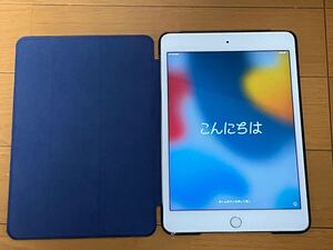 iPad mini 4 64G cellularモデル