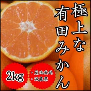 みかん 2㎏ 極上な有田みかん 減農薬 ミカン 産地直送 濃厚 高糖度 やはり取れたてがいい 甘くて瑞々しくて ツヤがあって香りがある A8