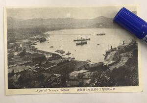 昔の敦賀港★戦前絵葉書 古写真 資料★福井 敦賀港★金ヶ崎境内より俯瞰せし敦賀港★街並み 船 線路 港全景★大正後期～昭和初期