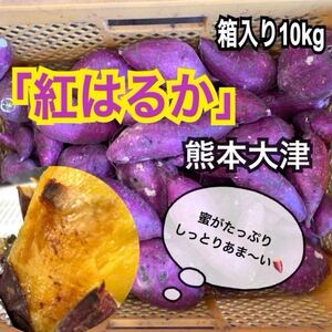 熊本県産　大津　べにはるか　紅はるか　10kg(送料無料)