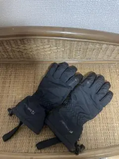 Trekmates GORE-TEX 防水グローブ 黒