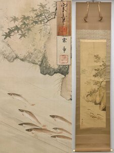 真作保証 濱本憲章 魚図 絹本 共箱 備後 掛軸 書画 骨董品 美術品 9015vezMM