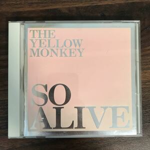 (401)帯付 中古CD150円 ザイエローモンキー SO ALIVE