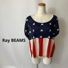 Ray BEAMS アメリカ　国旗　カットソー　リネン　レーヨン　春　夏
