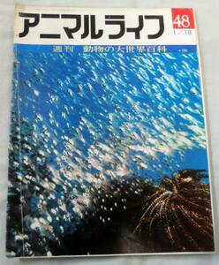 古書◆雑誌◆S47年 週刊アニマルライフ第４８号 ◆ キントキダイ★キンパラ★キンパラ★ギンポ★キンメモドキ★