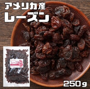 レーズン 250ｇ アメリカ産 世界美食探究 ドライフルーツ 種なし カリフォルニア産 乾燥ぶどう 製菓 製パン 材料 国内加工