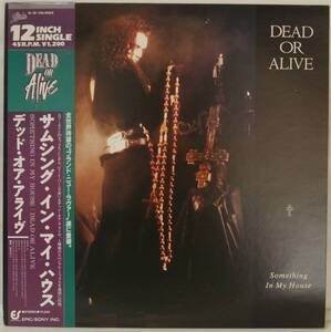 中古12インチ レコード簡易洗浄済み：DEAD OR ALIVE(デッド・オア・アライヴ) / Something In My House(サムシング・イン・マイ・ハウス)