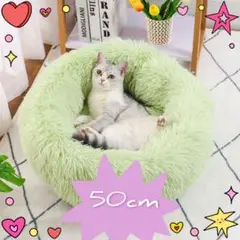 50cm グリーン　シャギーベット　ペット　 ふわふわ　防寒　滑り止め　犬　猫