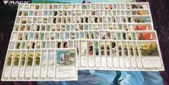 MTG　ポータル三国志　日本語版　約740枚