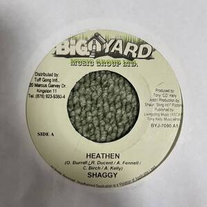 SHAGGY HEATHEN BIG YARD REGGAE