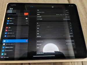 Apple SIMフリー iPad Pro (12.9インチ) (第3世代) スペースグレイ 64GB MTHJ2J/A Wi-Fi+Cellular バッテリー最大容量99%